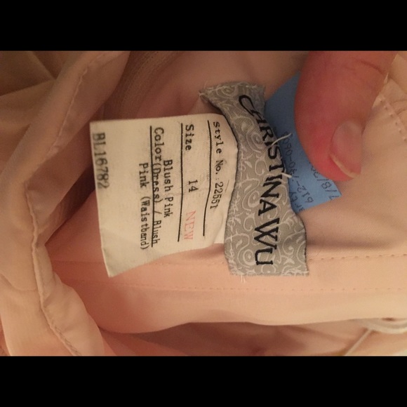 Christina Wu Blush Pink Chiffon Dress Size 14! - Picture 3 of 5